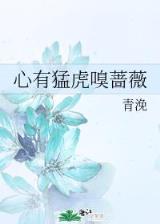 汉乡 孑与2 小说 作者：好彩网官方版客服网站是多少